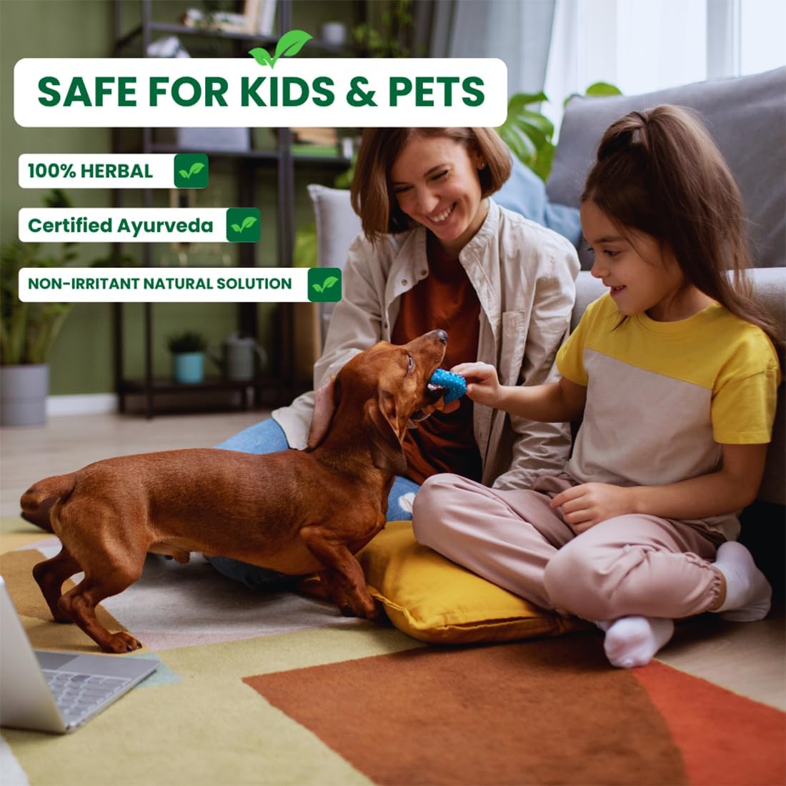 🌱 🦎 Herbal Lizard Guard Spray 🛡️ ( 3 PCs ) | FLAT 45% Off 🔥